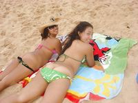 A Quiet Pause on a Beach Towel Beside Greenery and Driftwood
