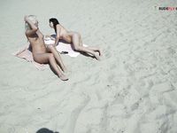 Rapid paw on on a plage