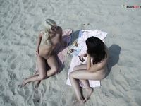 Rapid paw on on a plage