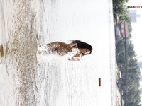 cute day on corina plage