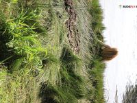 Howdy Naturists mates!