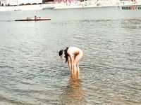 I just enjoy nude beaches