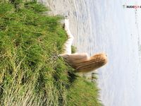 Howdy all Nudistsers!!!