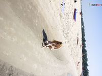 A lovely scorching day ay the strand