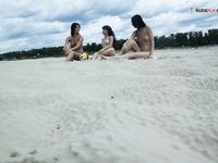 bee nature and ursula the strand..