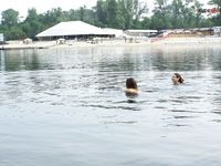 A few from a strand tawny Spain.