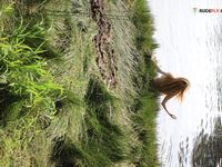 Wifwe immense boobies on OBX strand.