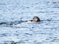 with bathing suit melanie Tambaba Plage.