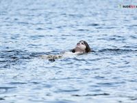 with bathing suit melanie Tambaba Plage.