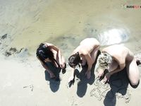 Another wintertime strand display