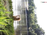 Another wintertime strand display