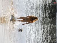 Tambaba Strand, ParaA­ba State.