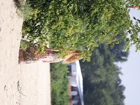 we had a bunch of joy at the strand