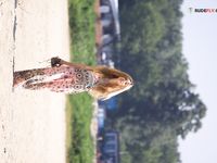 Here's some shots from the Strand