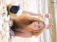 Various beaches around the world