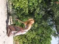 Just a crazy duo on the strand.