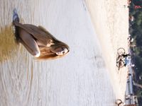 she loves to be naturist very first time