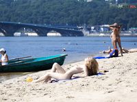 ressie wonderful kitten at the texas beaches