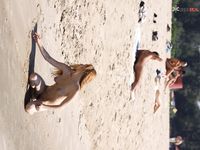 fantastic wifey hailey repeat at Naturists