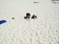 Damp Hair and Kneeling Sand on a Bright Nude Beach Dune