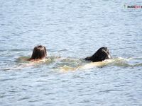 JANI WIFEY AT THE STRAND MORE NEXT TIME