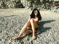 Cougar on the strand shelia different days