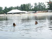 Due naturisti riposano e gesticolano accanto alle acque calme del fiume