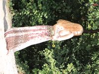 Wifey very first time braless at the plage