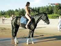 Yon torrid honey on a go as you like plage