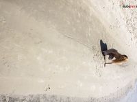 Experiencing stellar on a Cretan plage. Love!