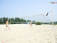 Chicks taken for a Greek strand vernita Crete