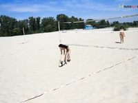 Leftovers from prior Naturists post