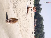 Leftovers from prior Naturists post