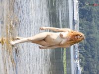 Topless by the Lake Shore in a Green Bead Necklace