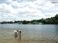 Grandmother says Hattie Christmas to Naturists