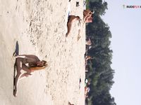 Lazy Days at the plage always lead to joy