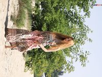 Naturists makes me kinky. What can I say?