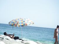 How can anyone forget this marvelous strand creature worshiped by the sun, sea and sand? 2