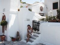 Somewhere Between Curiosity and Confidence