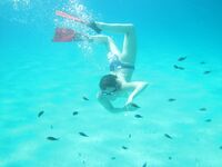 At First I Wanted to Hide… Then I Didn’t 3