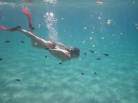 At First I Wanted to Hide… Then I Didn’t 3