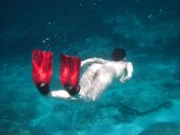 At First I Wanted to Hide… Then I Didn’t 3