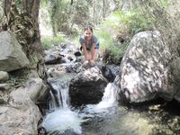 At First I Wanted to Hide… Then I Didn’t 3