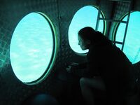 At First I Wanted to Hide… Then I Didn’t 3