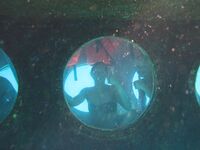 At First I Wanted to Hide… Then I Didn’t 3