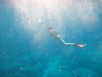 At First I Wanted to Hide… Then I Didn’t 3