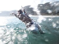 At First I Wanted to Hide… Then I Didn’t 3