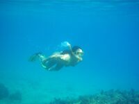 Somewhere Between Curiosity and Confidence 2