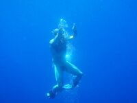 Somewhere Between Curiosity and Confidence 2