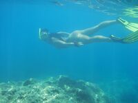 Somewhere Between Curiosity and Confidence 2